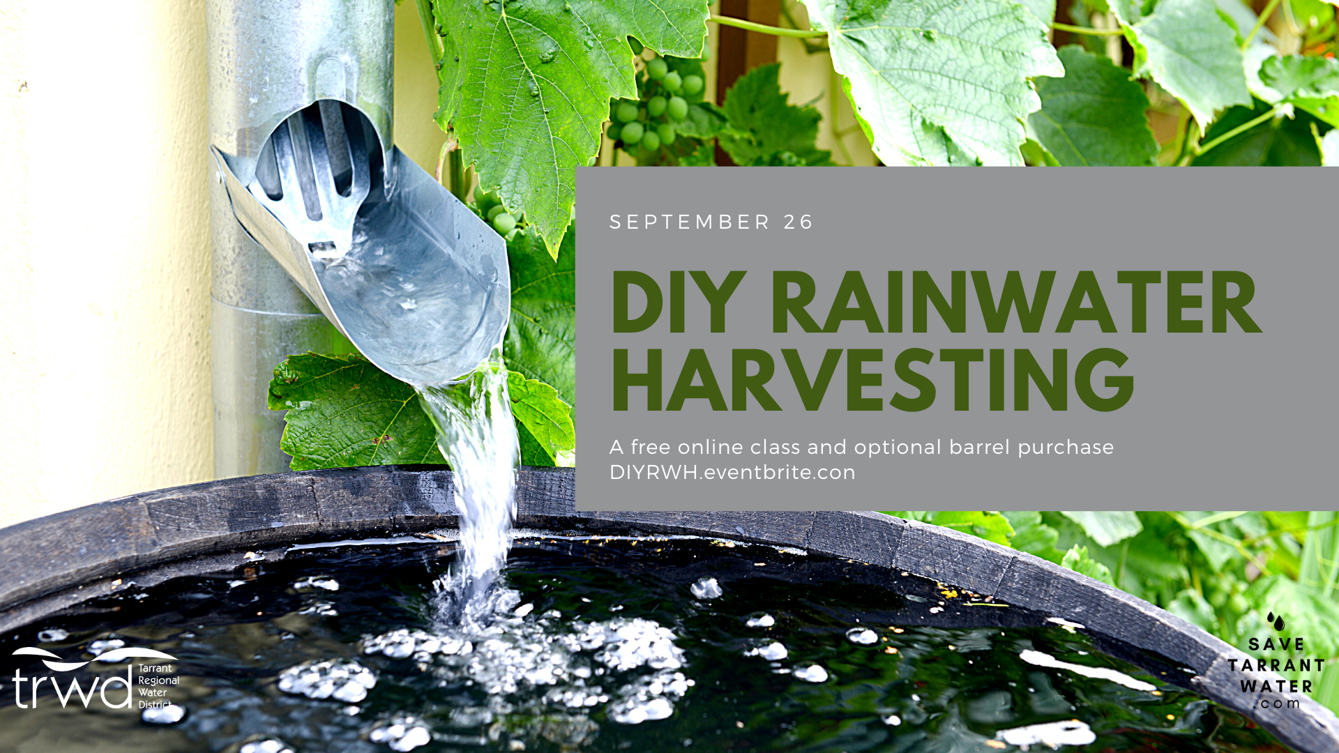 DIY Rainwater Harvesting
