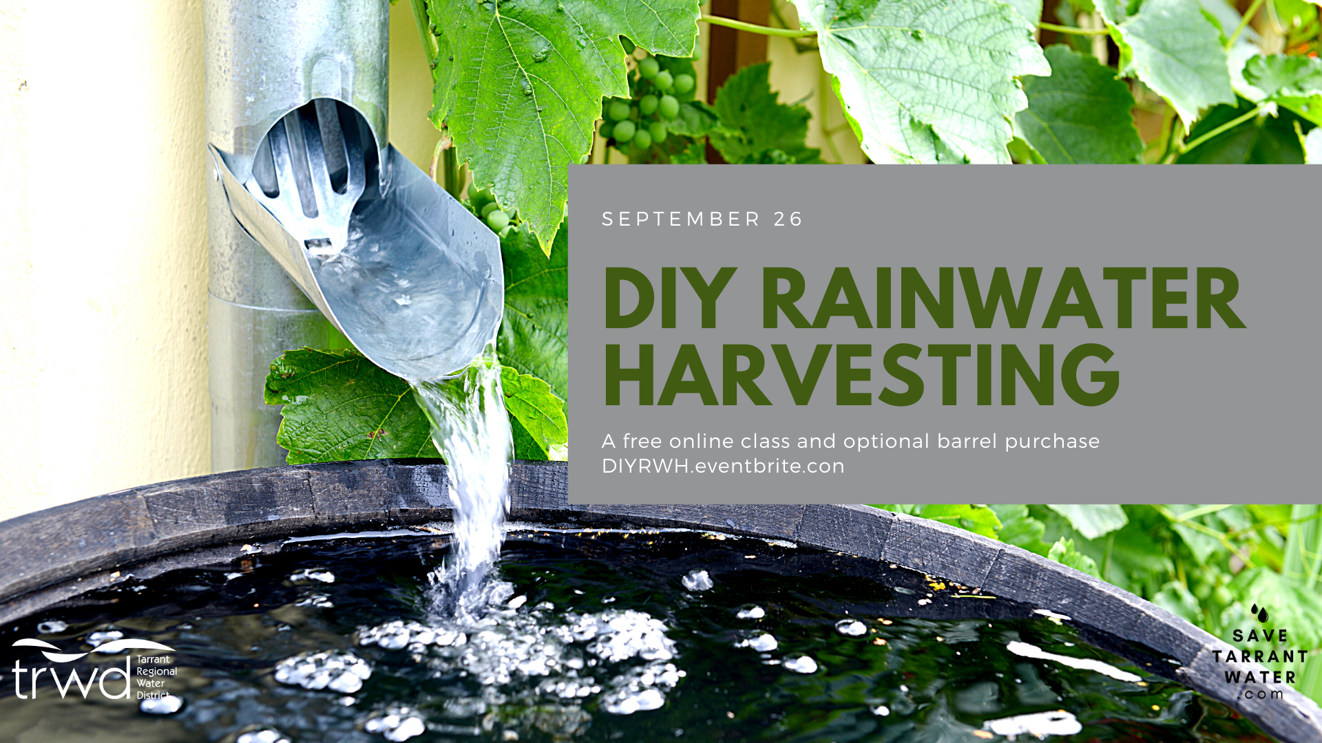 How to Make a DIY Rain Barrel  The Easiest Way to Save Rain Water