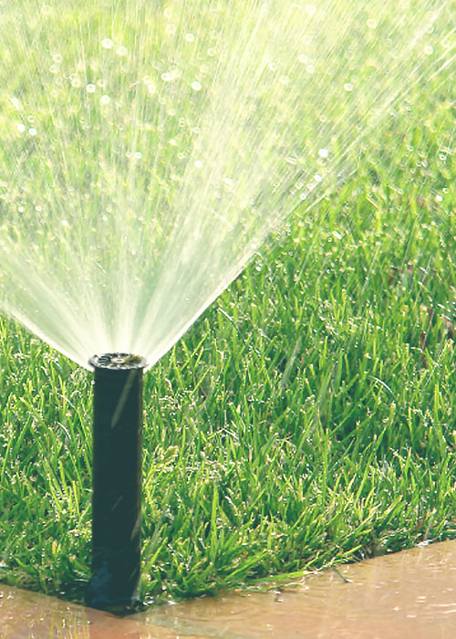 Lawn Sprinkler System