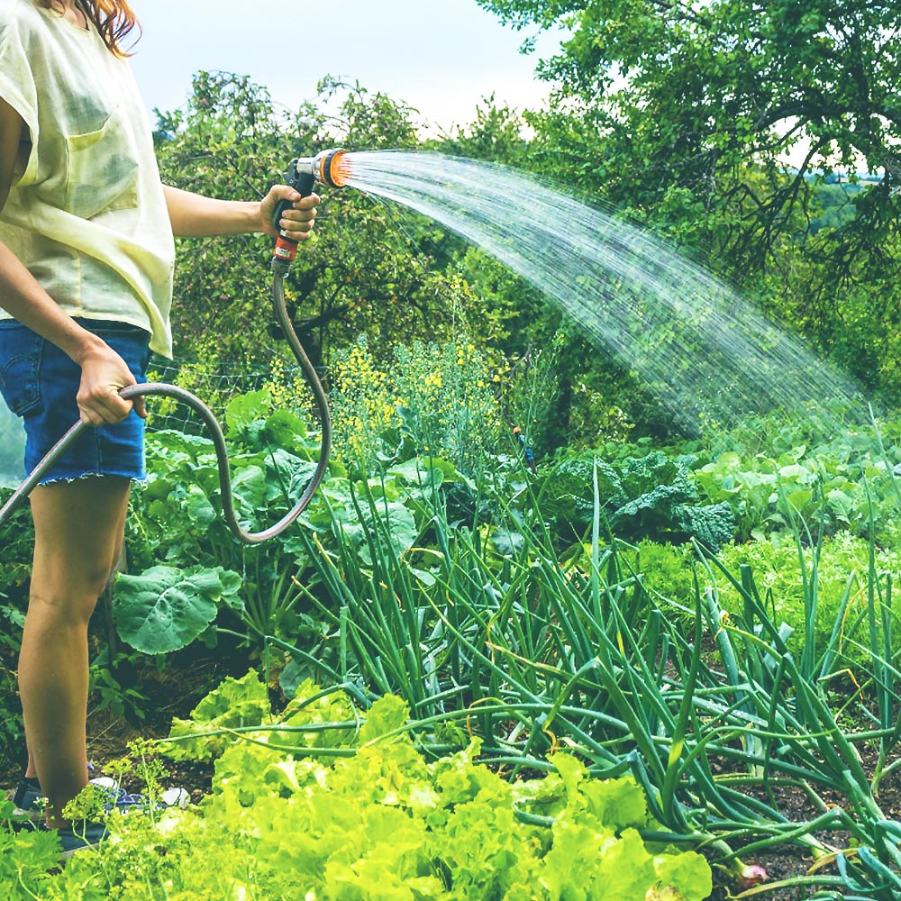 Watering Garden | Save Tarrant Water