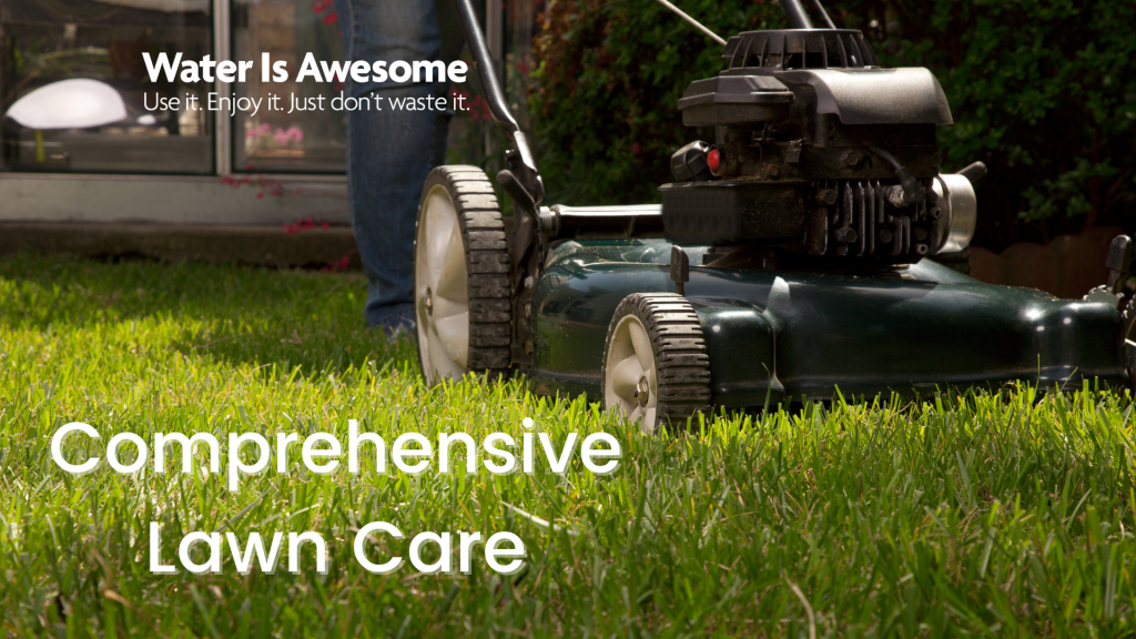 Comprehensive Lawn Care Save Tarrant Water