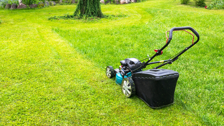 How to Care for Your Lawn During the Fall, Winter in North Texas