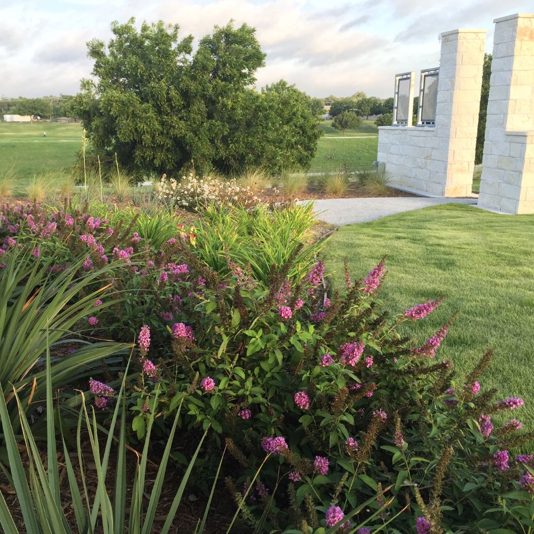 Conservation Treasures Program Save Tarrant Water