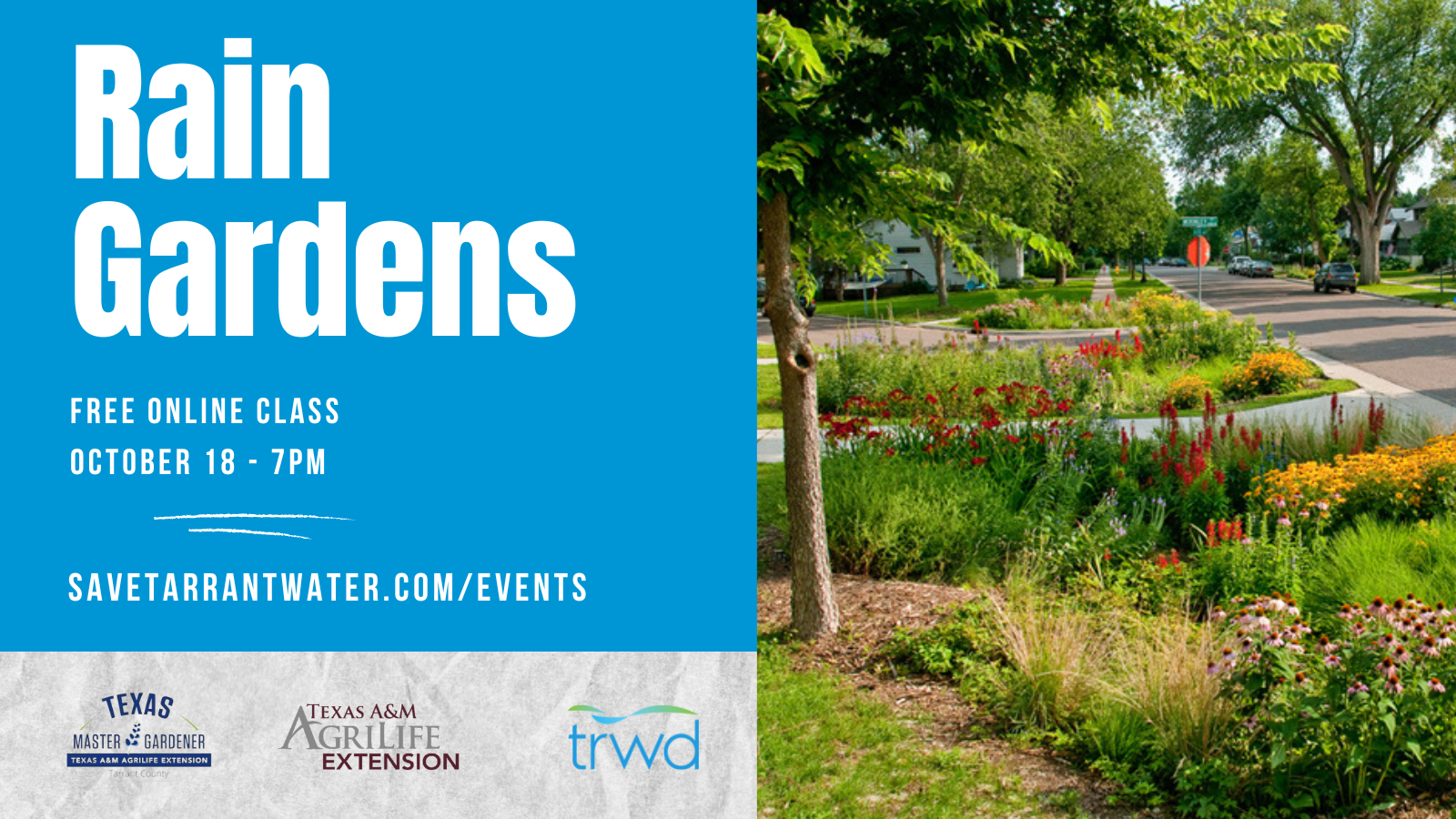 Rain Gardens - WASHTENAW COUNTY CONSERVATION DISTRICT