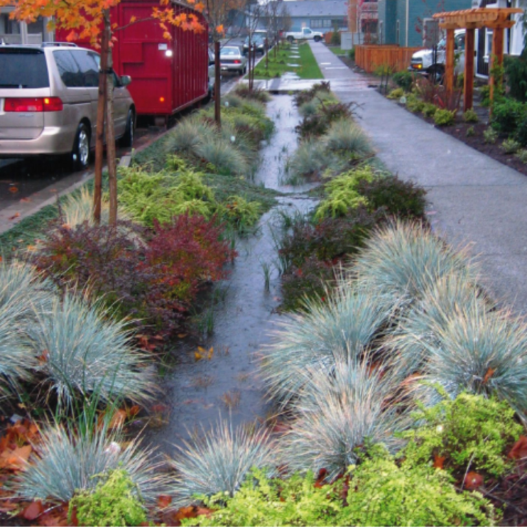 Gardening For Rainwater: Creating a Rain Garden | Save Tarrant Water