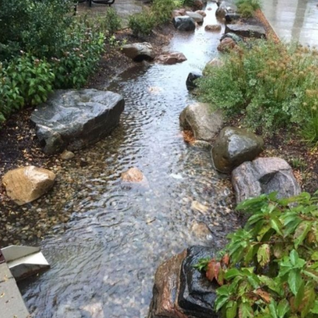 Gardening For Rainwater: Bioswales and Dry Creek Beds