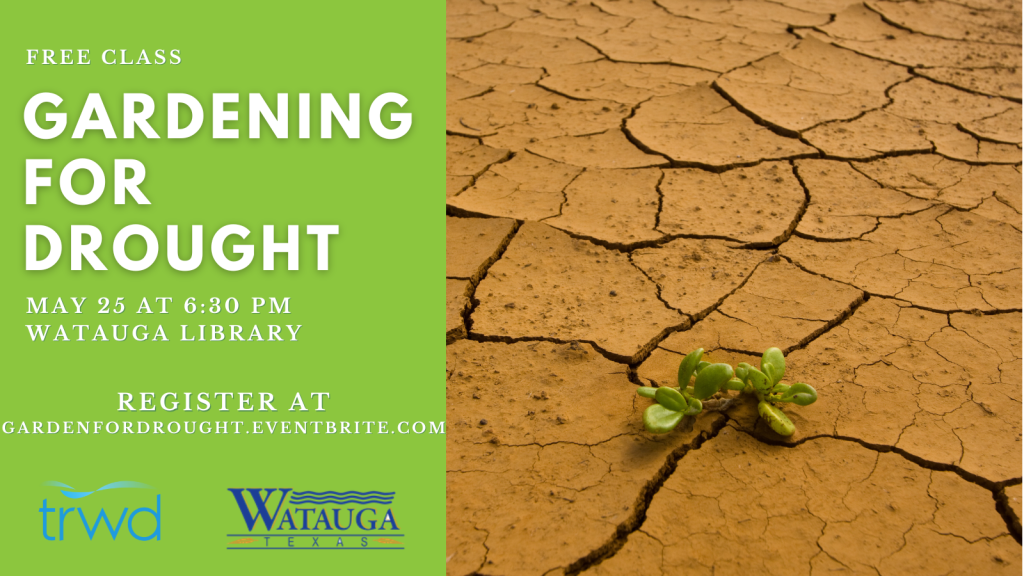 Gardening For Drought Save Tarrant Water