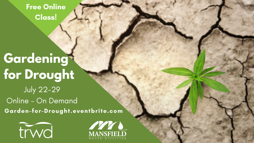 Gardening For Drought Save Tarrant Water