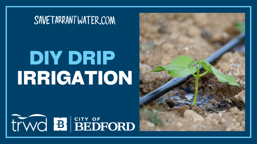 DIY Drip Irrigation – Save Tarrant Water