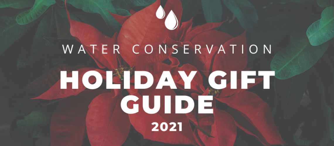 2021 Holiday Gift Guide feature