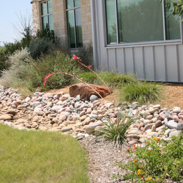 Gardening For Rainwater: Bioswales and Dry Creek Beds