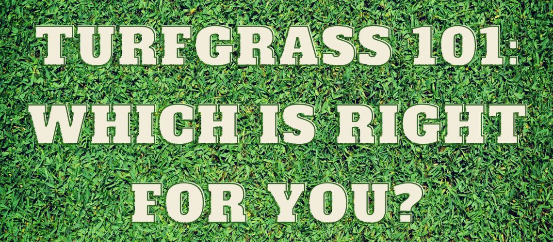 GETTING TO KNOW YOUR TURF (1)