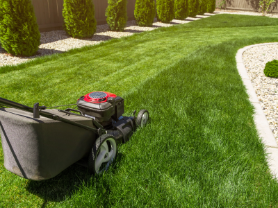 GETTING TO KNOW YOUR TURF (2)