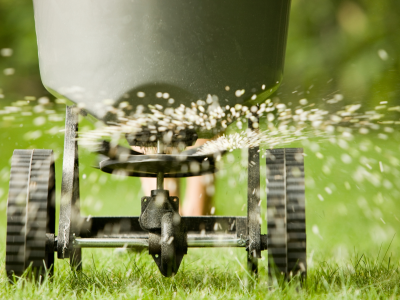 GETTING TO KNOW YOUR TURF (6)