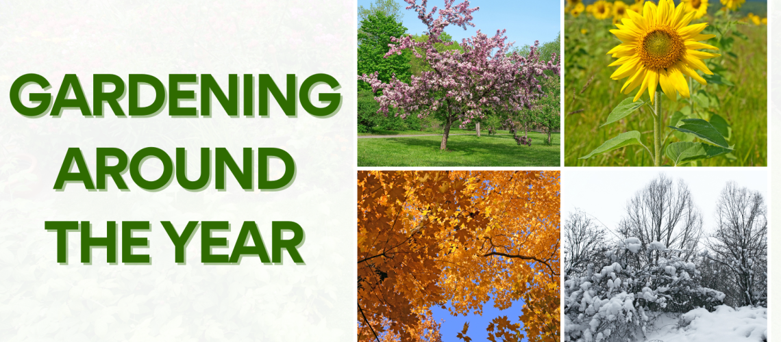 Gardening around the year
