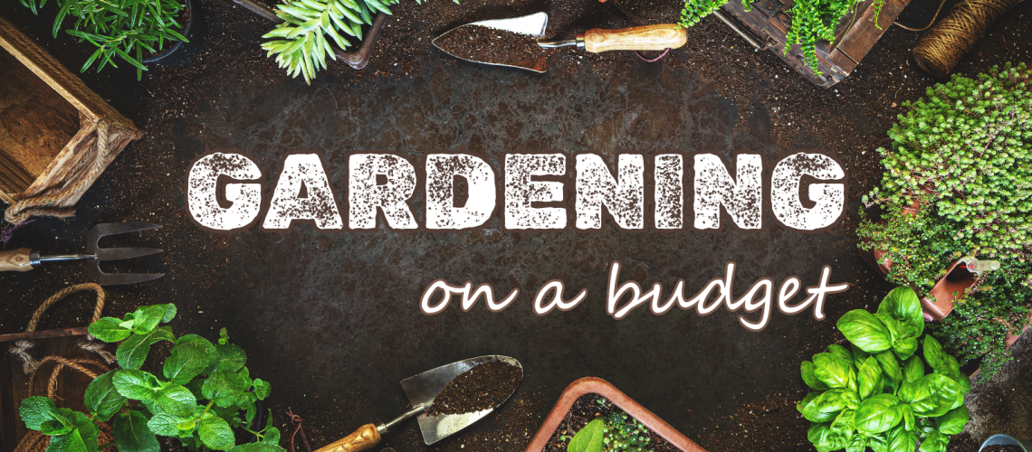 Gardening on a Budget