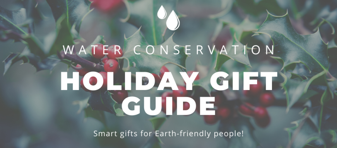 Holiday Gift Guide feature