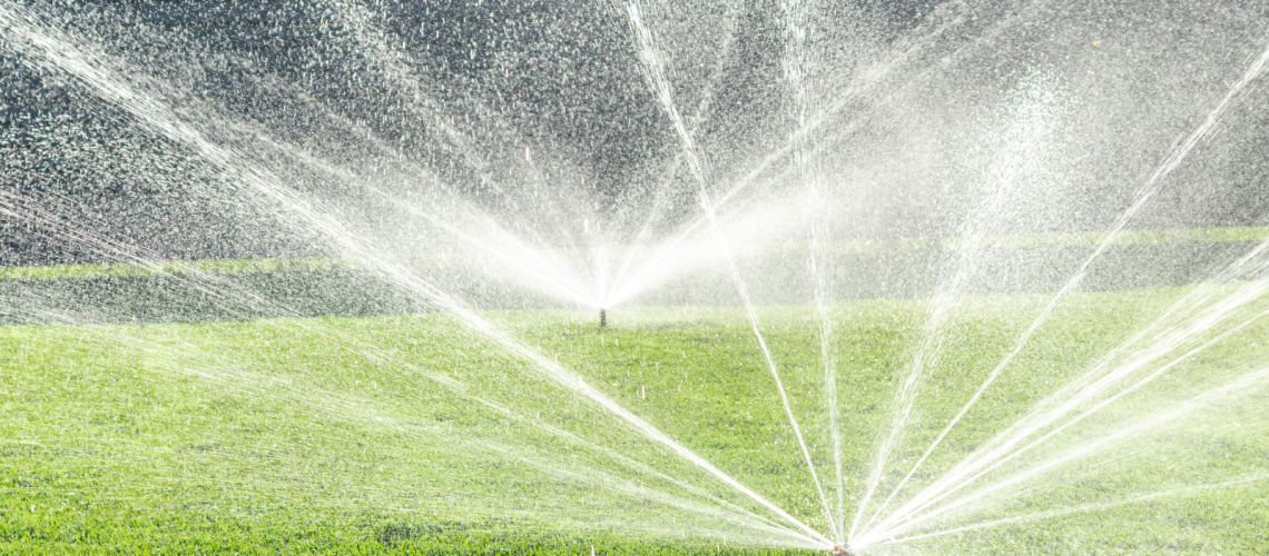 July 2023 Sprinkler Blog
