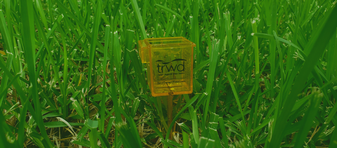 TRWD cup in grass